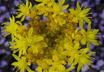 不保护我的句子(热门50句)