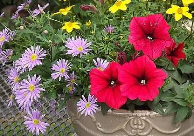 不确定性分析句子成分(共30句)