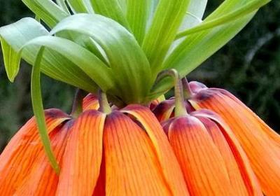 不加标点长句子(实用6句)