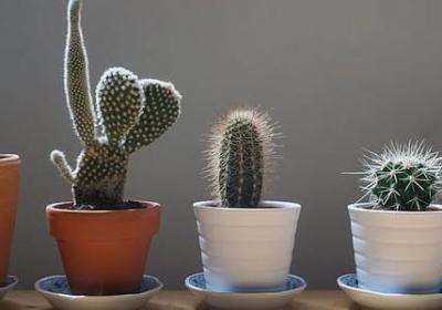 不念不问句子(必备40句)