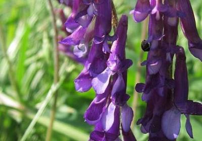 不太友好的句子(必备70句)