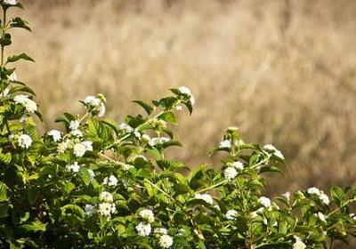 不廉价句子(优选10句)