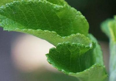 不理人的句子(通用60句)