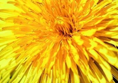 与消息有关句子摘抄(必备60句)