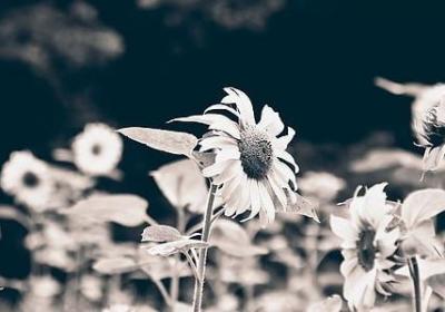 严禁玩水提醒句子英文(合集20句)