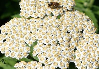 不该轻易浪费的句子(汇总80句)