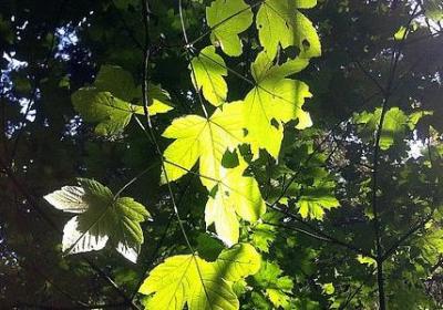 与加油相似的句子(实用80句)