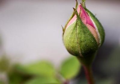 专注于持久的句子(合集40句)