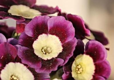 专注科研饮食的句子(必备15句)