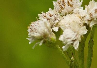 不该说得话不说的句子(精选50句)