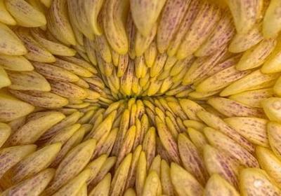 与夕有关的句子(精选79句)