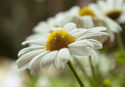 世态炎凉人情冷暖句子(合集50句)