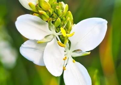 不舍家人的分离句子(热门30句)