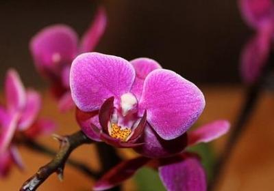 不计较的句子(精选70句)