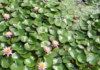 不负秋色的句子(精选80句)