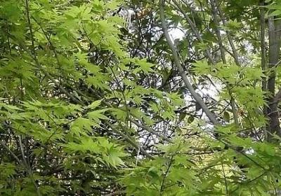 不默契的句子(必备70句)