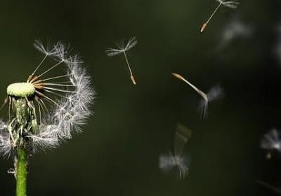 中午好高情商句子简短(优选40句)