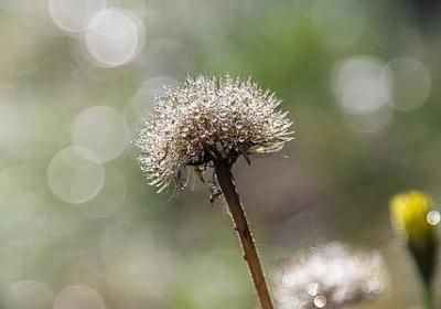 为武汉肺炎加油的句子(共69句)