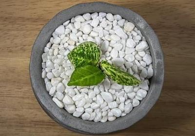 丧感情的句子(优选70句)