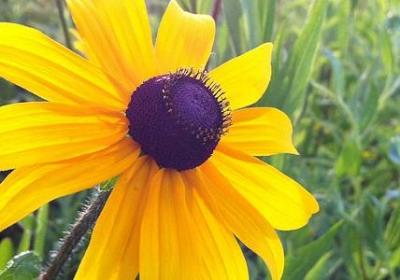 中泰语句子(实用52句)