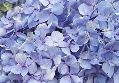 临湖而居唯美句子(优选15句)