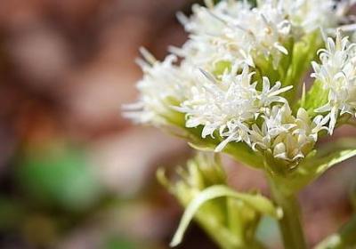 中午优美的句子(必备40句)