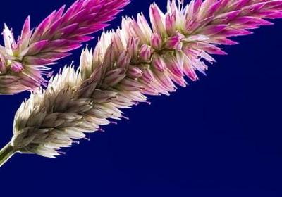 中毒这首歌句子(实用69句)