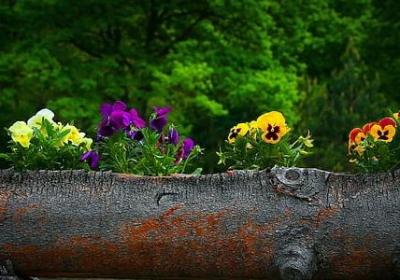 严禁饮酒句子(精选30句)