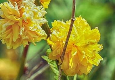 为成功的人句子(必备40句)