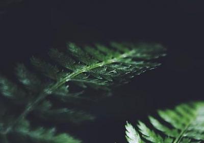 也说不上精彩的句子(热门50句)