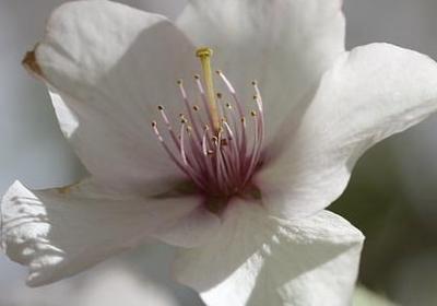 五个常用句子大全(必备25句)