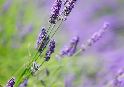 五一送别句子赏析(热门50句)