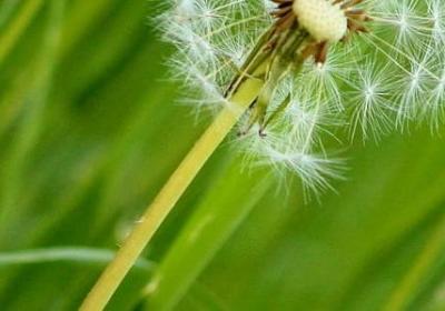 五年白费的句子(精选40句)