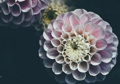 交通名言的句子(共40句)