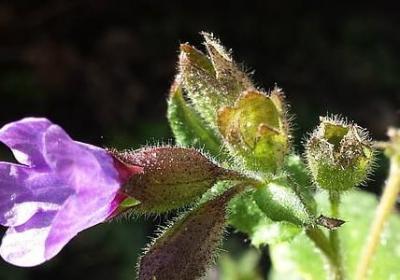 交友软件测评搞笑句子(共40句)