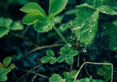 产生造句子简单(必备70句)