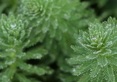 享受此刻的宁静句子(共20句)