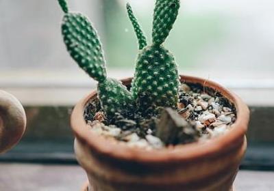 享受汗蒸的句子(实用10句)