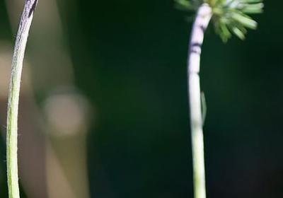 享受大自然的气息句子(推荐10句)