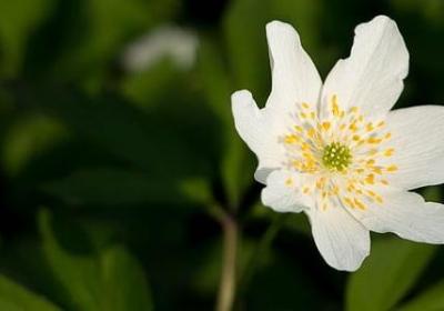 享瘦生活句子(通用40句)