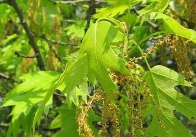 人们堆雪人的句子(精选50句)