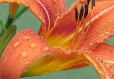 云彩厚重怎么形容句子(实用20句)