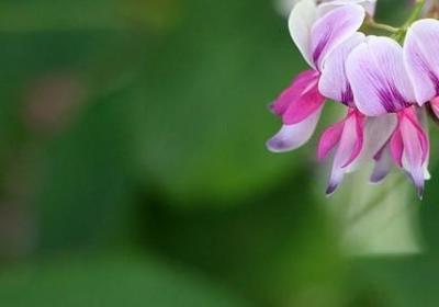 五五开句子(实用20句)