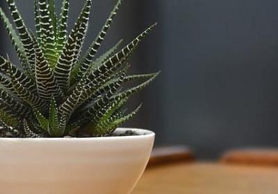 五一约的句子(60句)