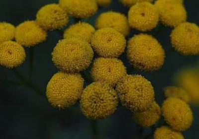 五一归家的唯美句子(必备10句)