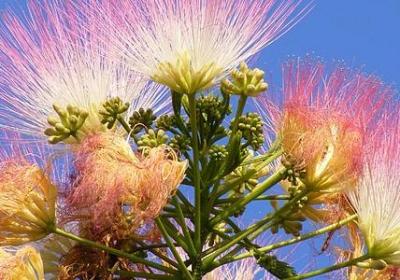 五年级下册句子(实用20句)