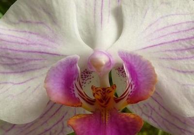 享受音乐的句子(优选60句)