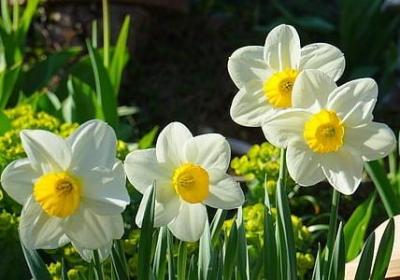 亲人相逢感动的句子(50句)