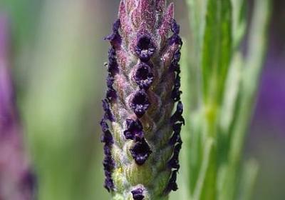 人不能太安逸经典句子(热门20句)