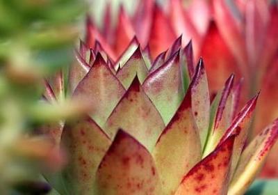 人从未离开的句子(共44句)